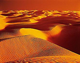 真岛浩操刀角色设计《魔农传记》公开开场动画